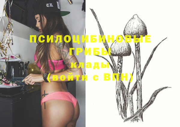 spice Алексеевка