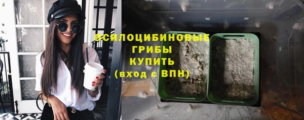 spice Алексеевка