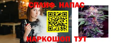 дживик Владимир