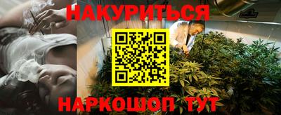 крисы Вышний Волочёк