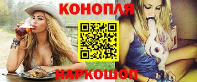 Альфа ПВП Владикавказ