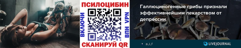 дарнет шоп  Саки  Галлюциногенные грибы MAGIC MUSHROOMS 