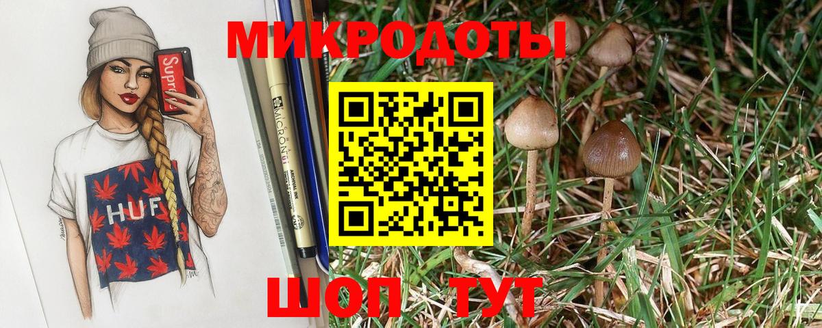 Псилоцибиновые грибы Psilocybine cubensis Саки